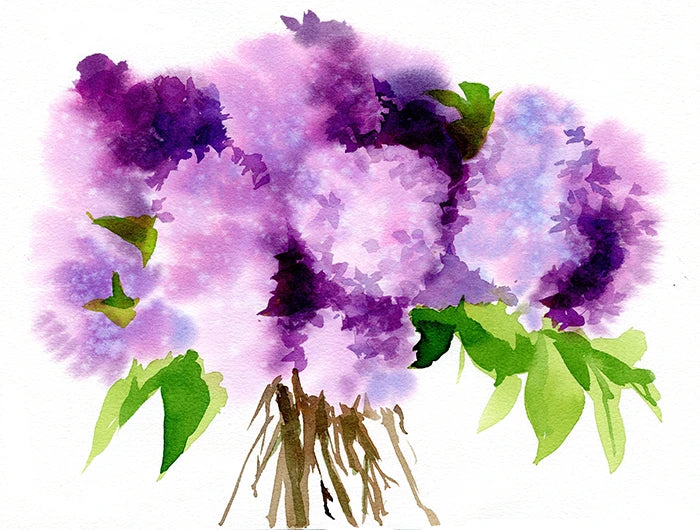 Fleurs Floues