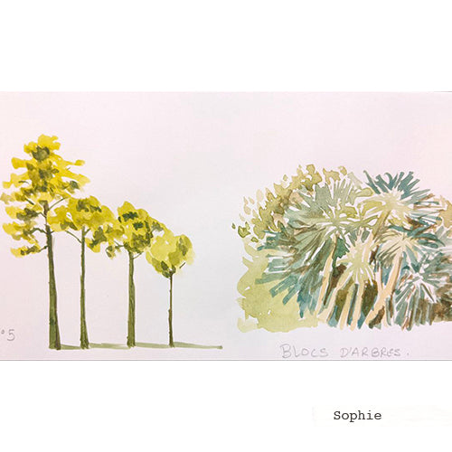 arbres à l'aquarelle d'une élève
