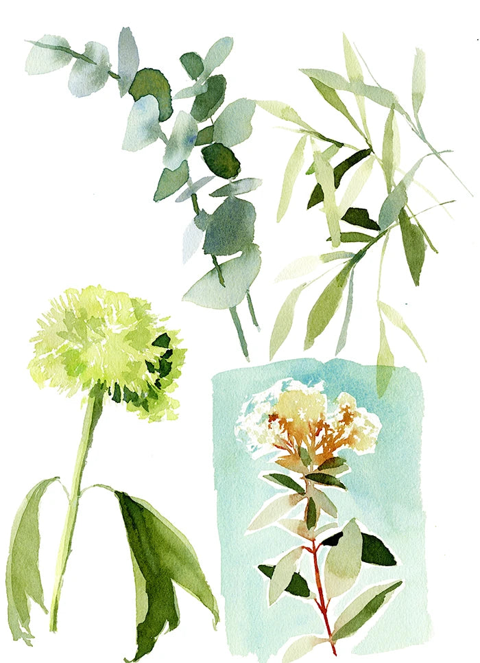 Fleurs Floues