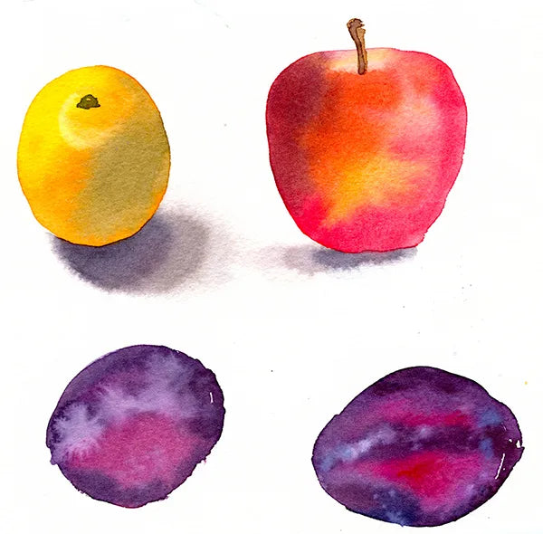 Les Bases de l'aquarelle