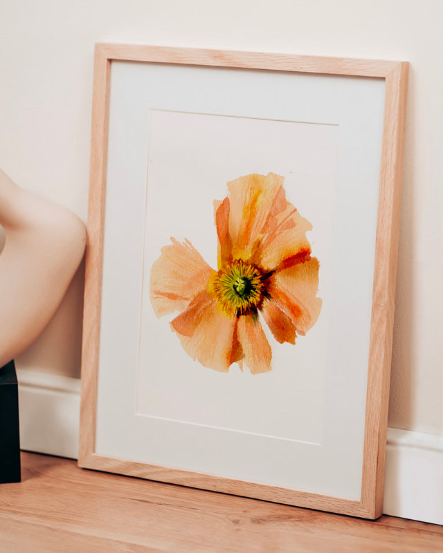 Fleurs Floues