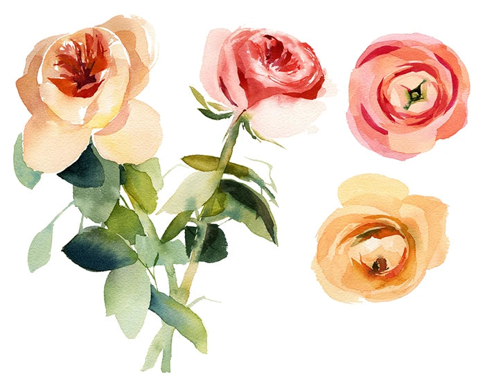 Fleurs Floues